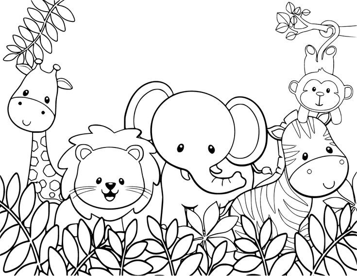 Baby Zoo Animals Coloring Pages
 Cute Animal Coloring Pages
