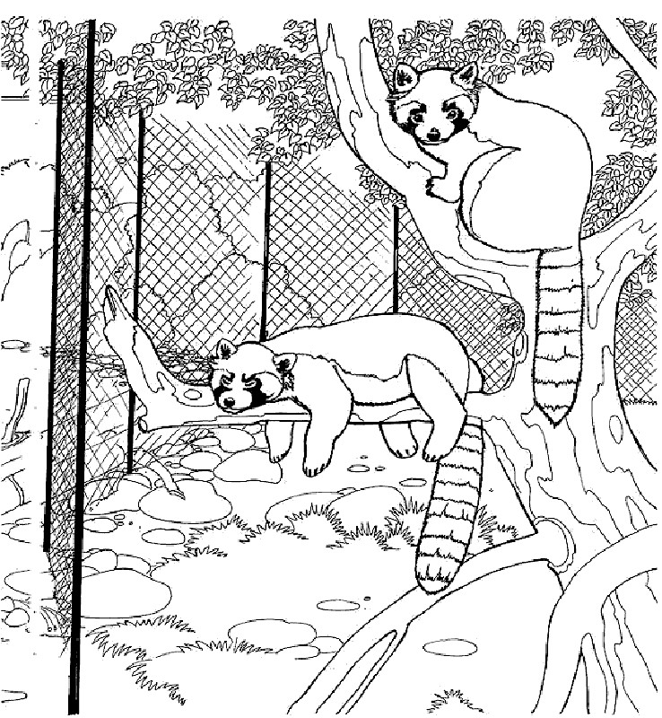 Baby Zoo Animals Coloring Pages
 Free Printable Zoo Coloring Pages For Kids