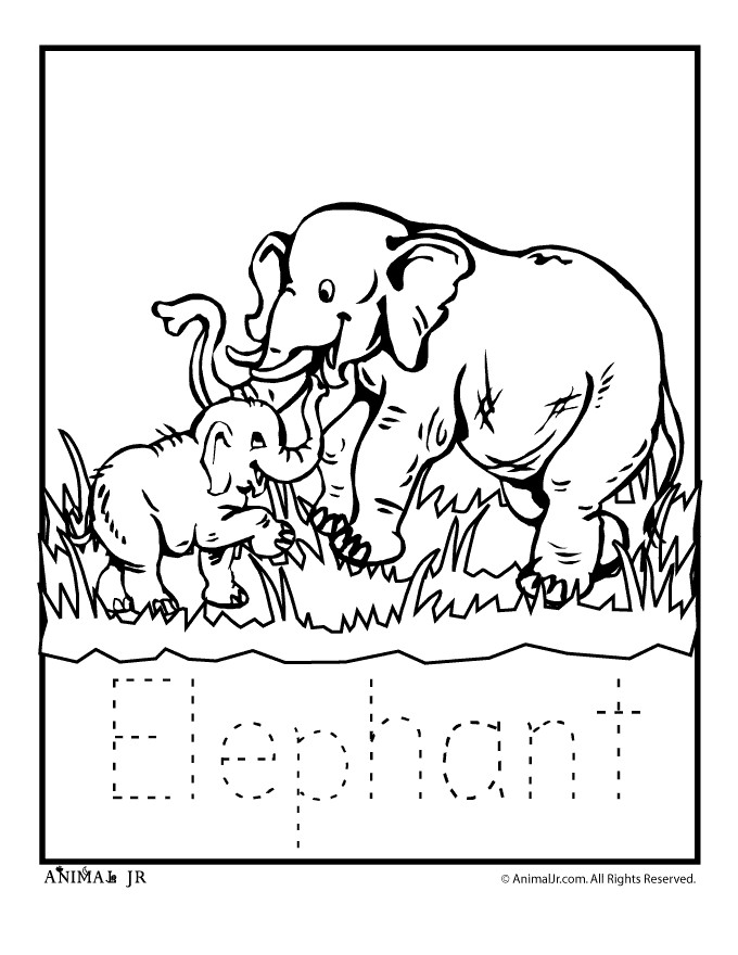 Baby Zoo Animals Coloring Pages
 zoo babies elephant