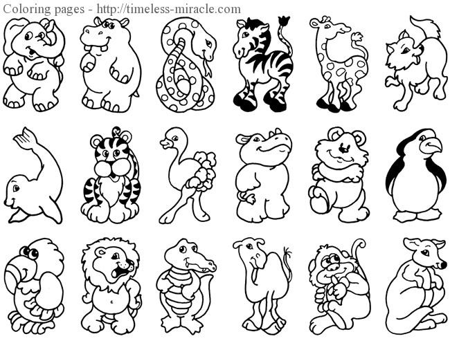 Baby Zoo Animals Coloring Pages
 Baby zoo animal coloring pages timeless miracle
