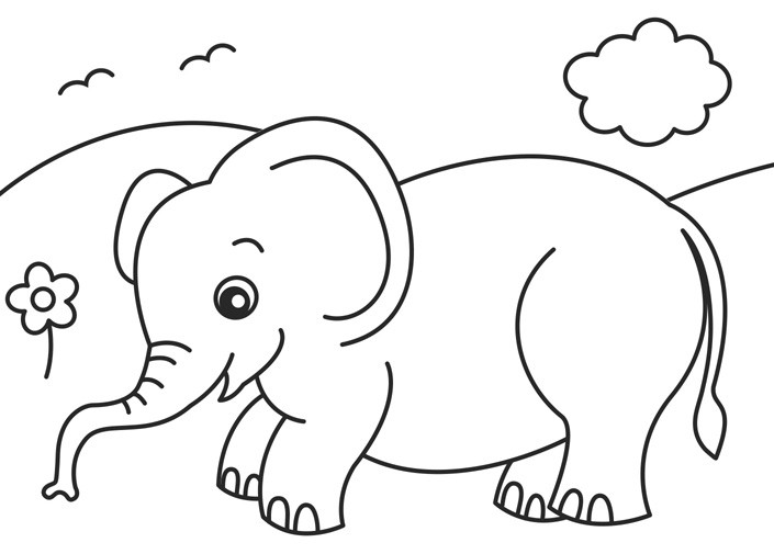 Baby Zoo Animals Coloring Pages
 2o Awesome Jungle Coloring Pages