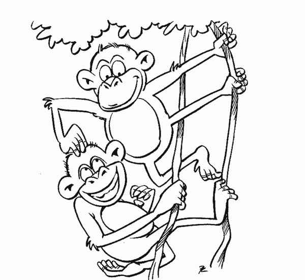 Baby Zoo Animals Coloring Pages
 Cute Zoo Animals Coloring Pages – Colorings