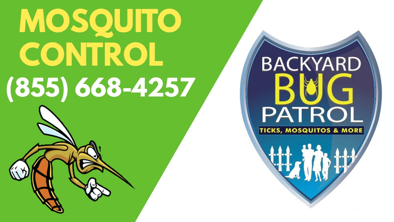 Backyard Bug Patrol
 Mosquito Control Burke VA Backyard Bug Patrol