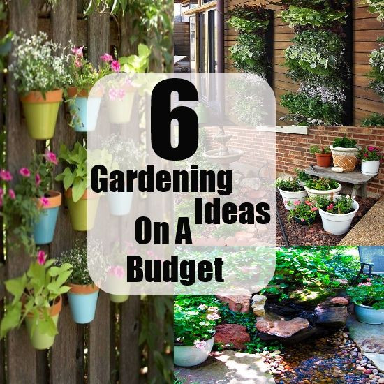 Backyard Decor On A Budget
 Awesome Gardening Ideas A Bud