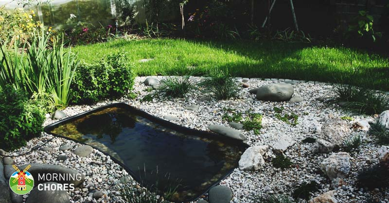Backyard Pond Liners
 6 Best Pond Liner Reviews Quality Liners for Koi Ponds