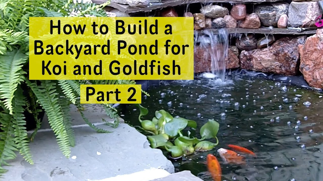 Backyard Pond Liners
 How to Build a Backyard Pond for Koi and Goldfish Part 2
