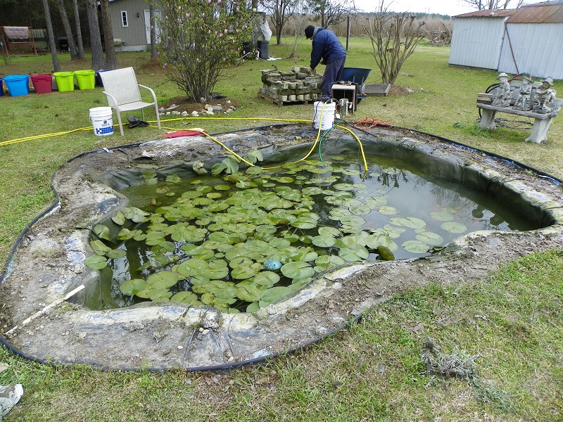 Backyard Pond Liners
 An Ultimate Buying Guide The Best Pond Liner 2018 Reviews