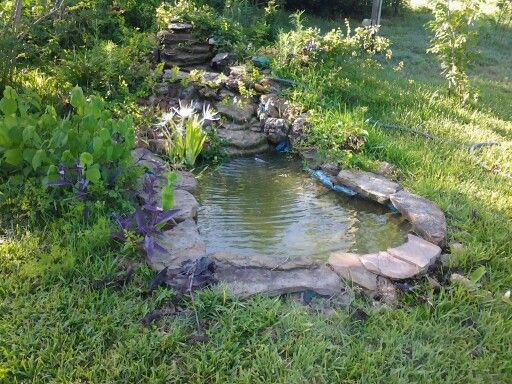 Backyard Pond Liners
 My small pond hubby and I dug years ago with preformed