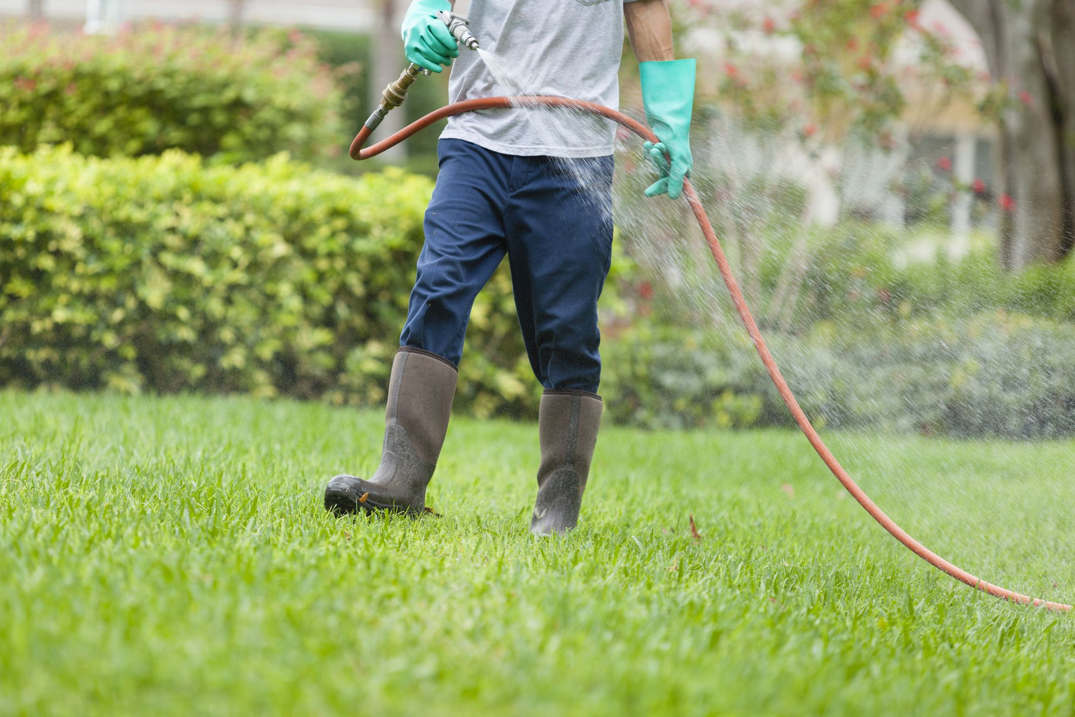 Backyard Tick Spray
 Ways to Avoid or Kill Deer Ticks