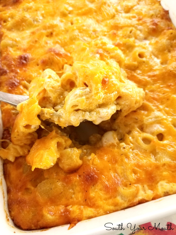 Baked Macaroni And Cheese Evaporated Milk
 South Your Mouth Southern Style Macaroni & Cheese