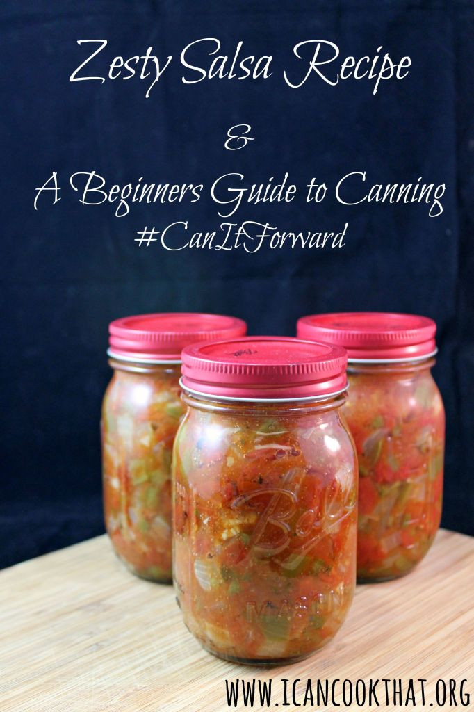 Balls Canning Salsa Recipe
 Salsa Recipe & Beginners Guide to Canning