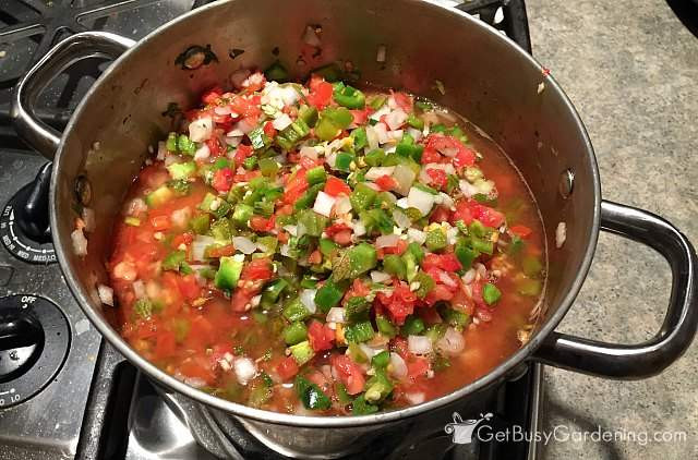 Balls Canning Salsa Recipe
 Food Canning Recipes For Preserving Food From Your Garden