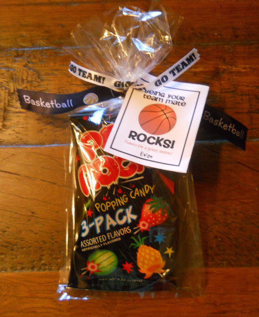 Basketball Gift Bag Ideas
 Susan Crabtree Basketball Rocks Favor