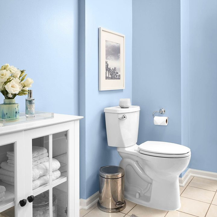Bathroom Colors 2020
 2020 Paint Color Trends