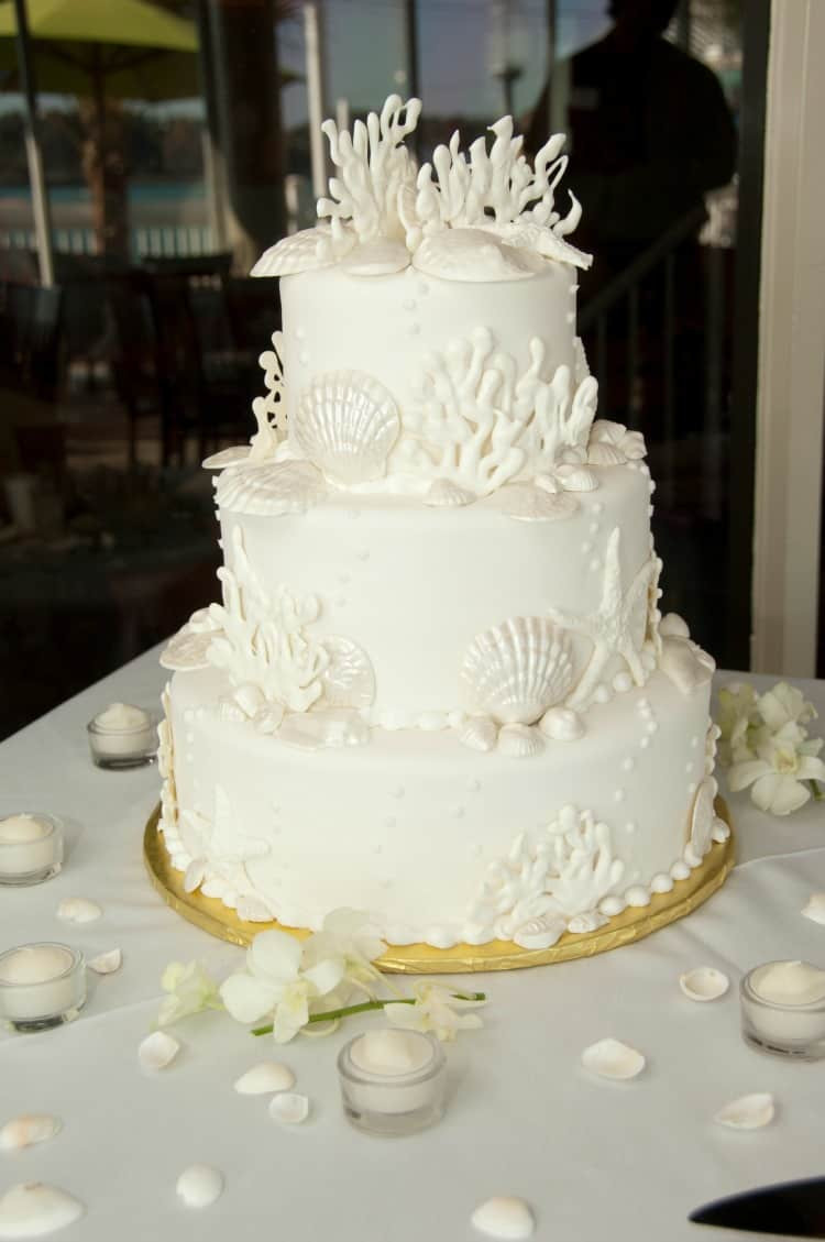 Beach Wedding Cake Ideas
 Beach Wedding Cake Ideas Destination Wedding Details