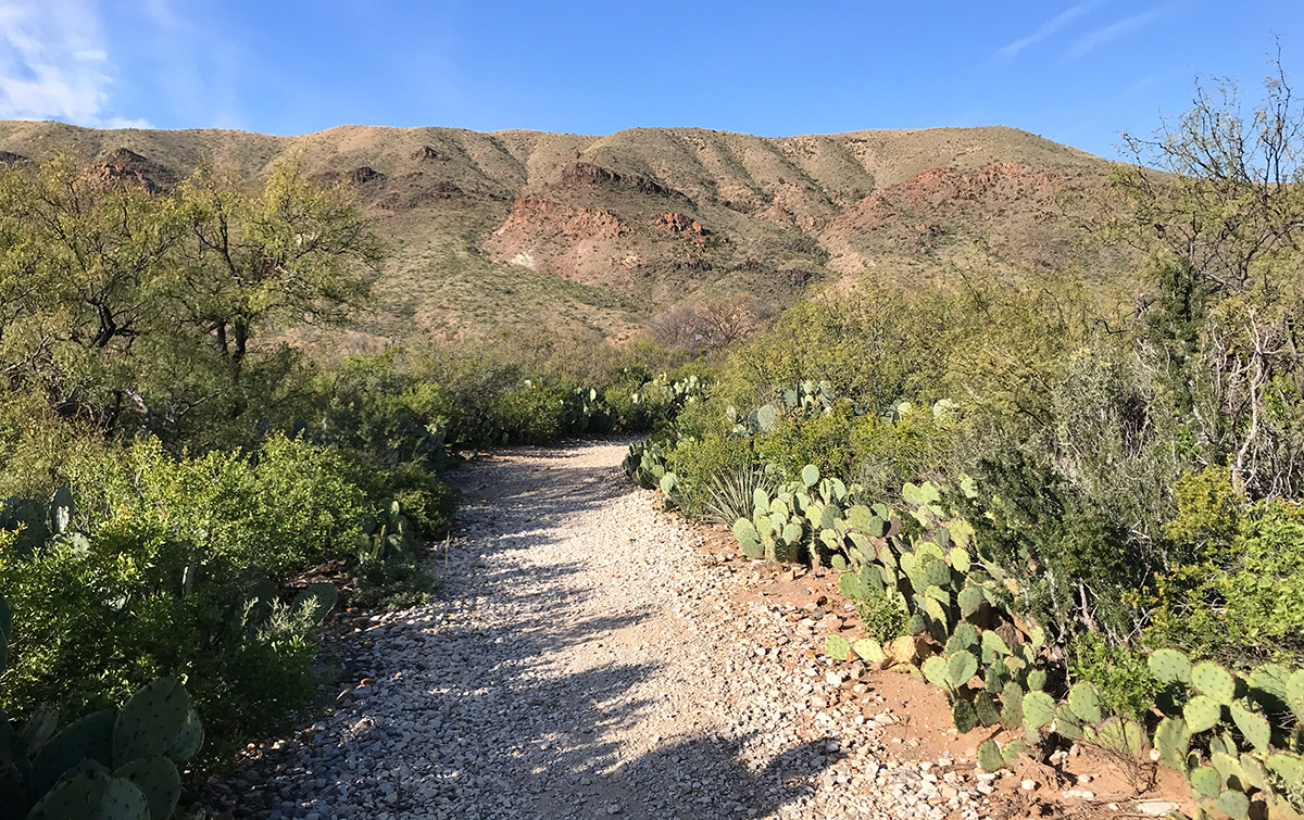 Beautiful Nails Homestead
 Sam Nail Ranch Homestead And Trail At Big Bend National Park