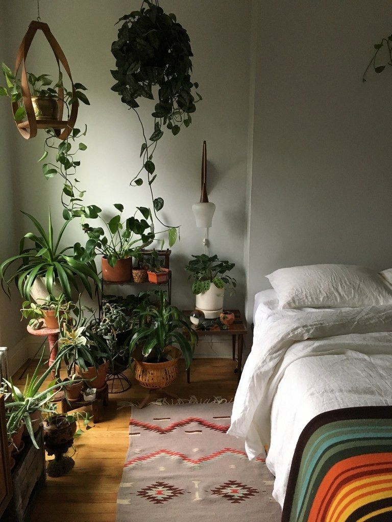 Bedroom Plants Low Light
 4 Tricks to Growing Happy Houseplants in Dark Apartments