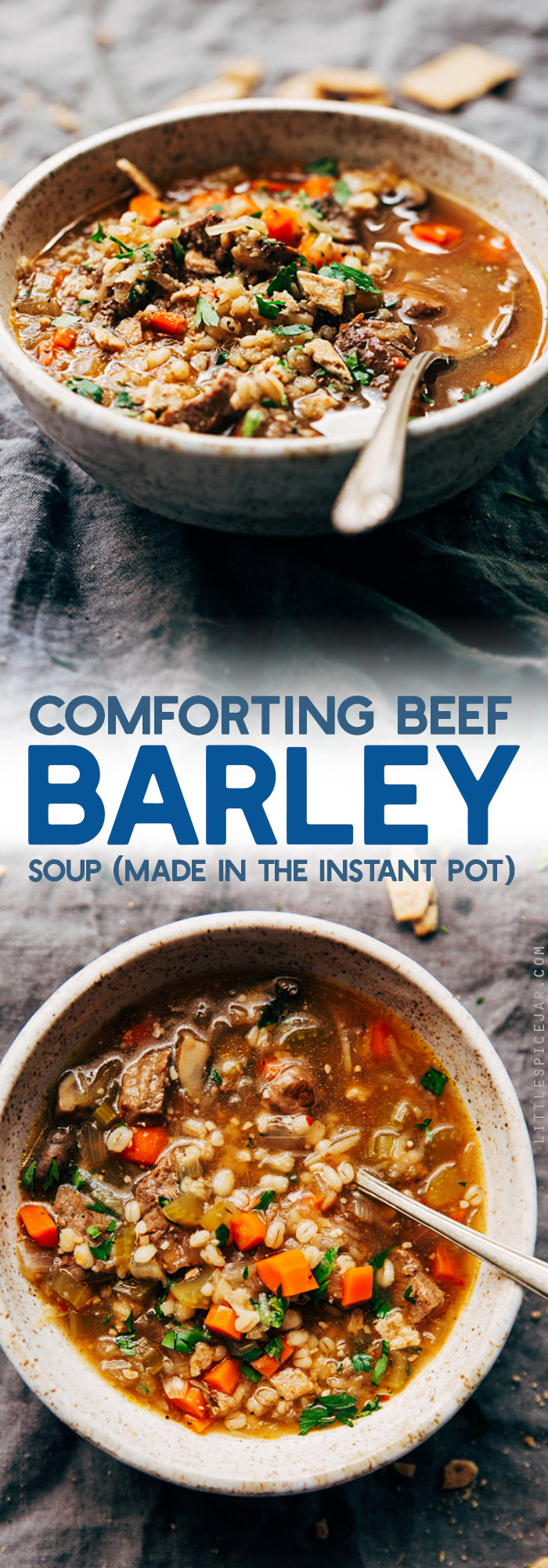 Beef Soup Instant Pot
 forting Beef Barley Soup Instant Pot Recipe