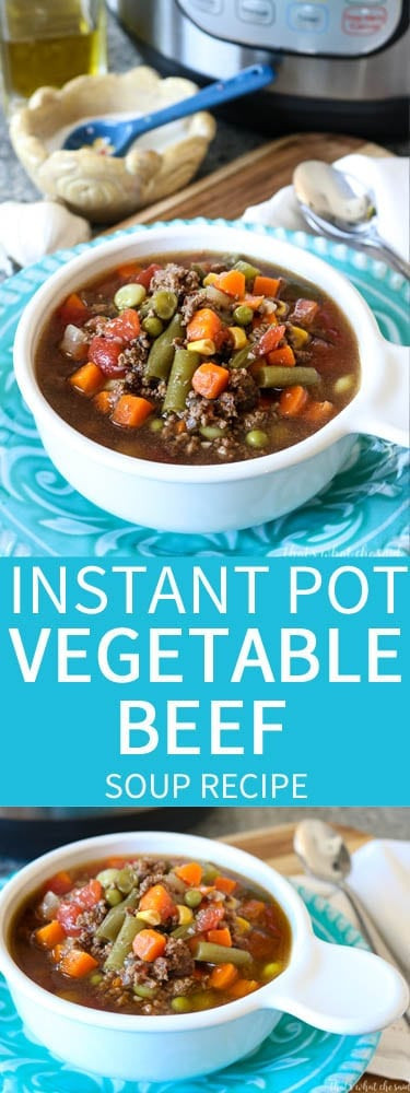 Beef Soup Instant Pot
 Instant Pot Ve able Beef Soup – That s What Che Said