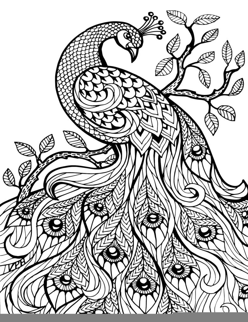 Best Adult Coloring Pages
 Coloring Pages Free Printable Coloring Book Pages – Best