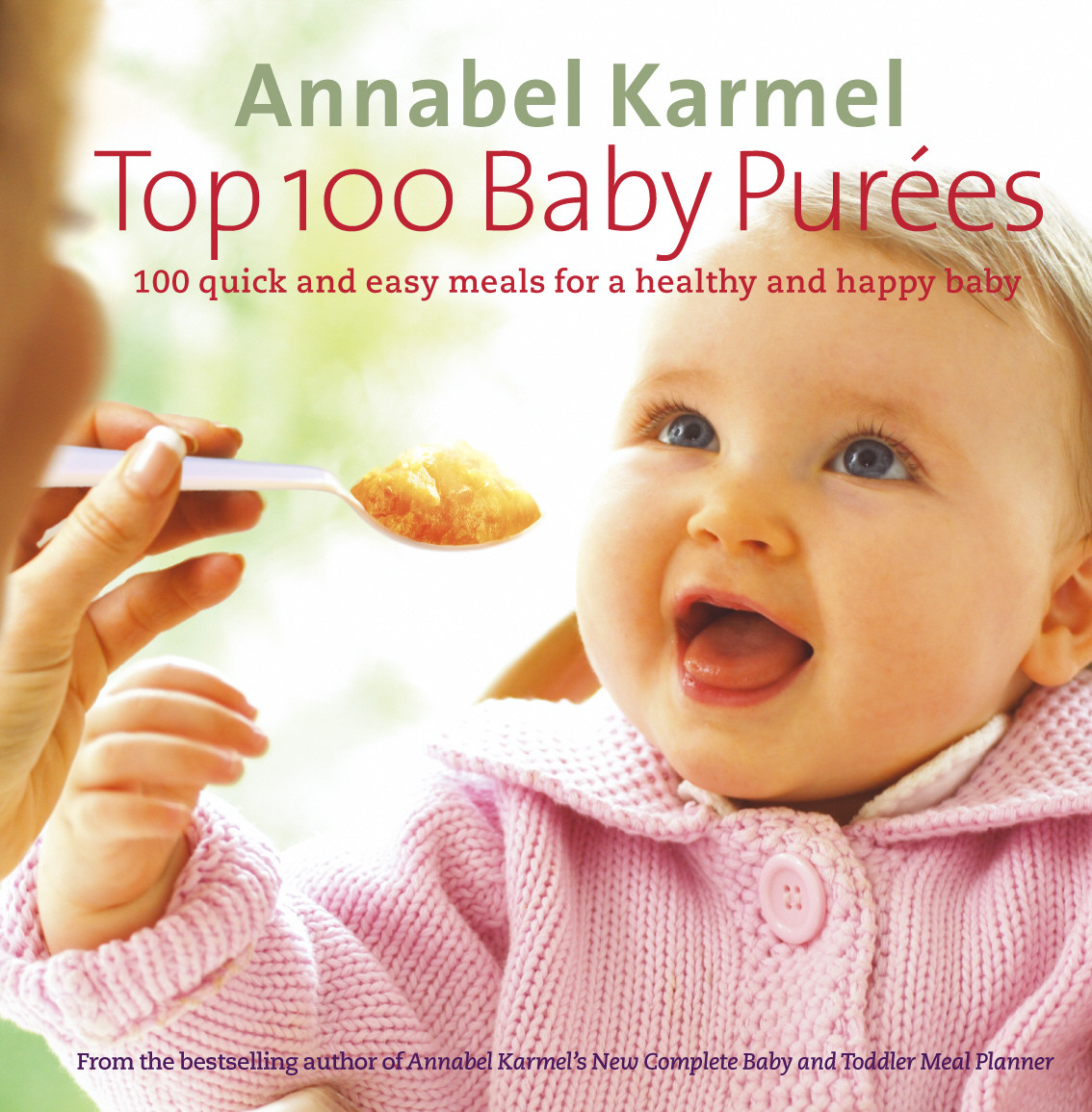 Best Baby Food Recipe Book
 Top 100 Baby Purées