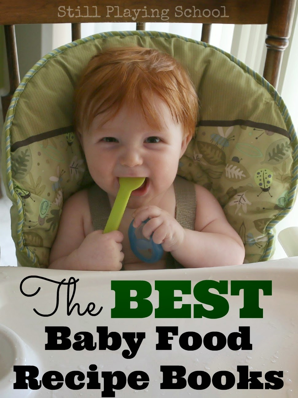 Best Baby Food Recipe Book
 The Best Baby Food Recipe Books