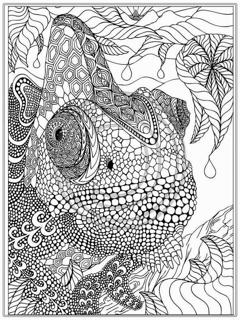 Best Coloring Books For Adults
 Coloring Pages Entrancing Coloring Pages Printable For