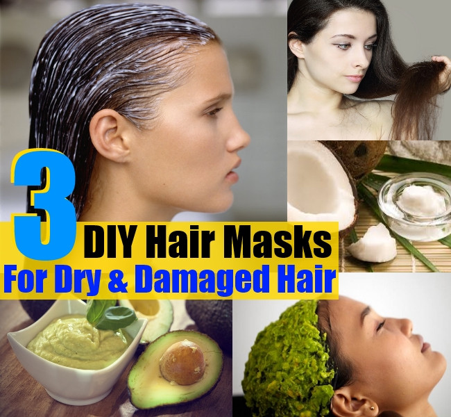 Best DIY Hair Mask For Damaged Hair
 3 DIY Hair Masks For Dry And Damaged Hair