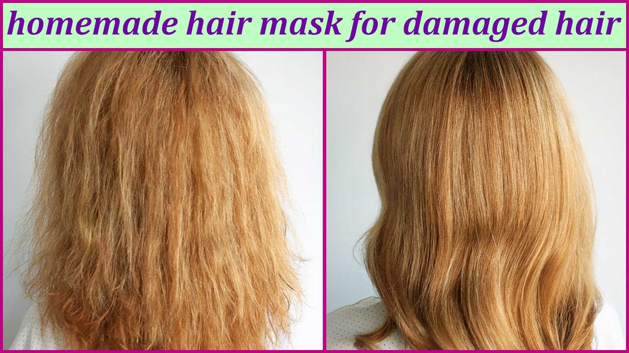 Best DIY Hair Mask For Damaged Hair
 Homemade Hair Mask For Damaged Hair