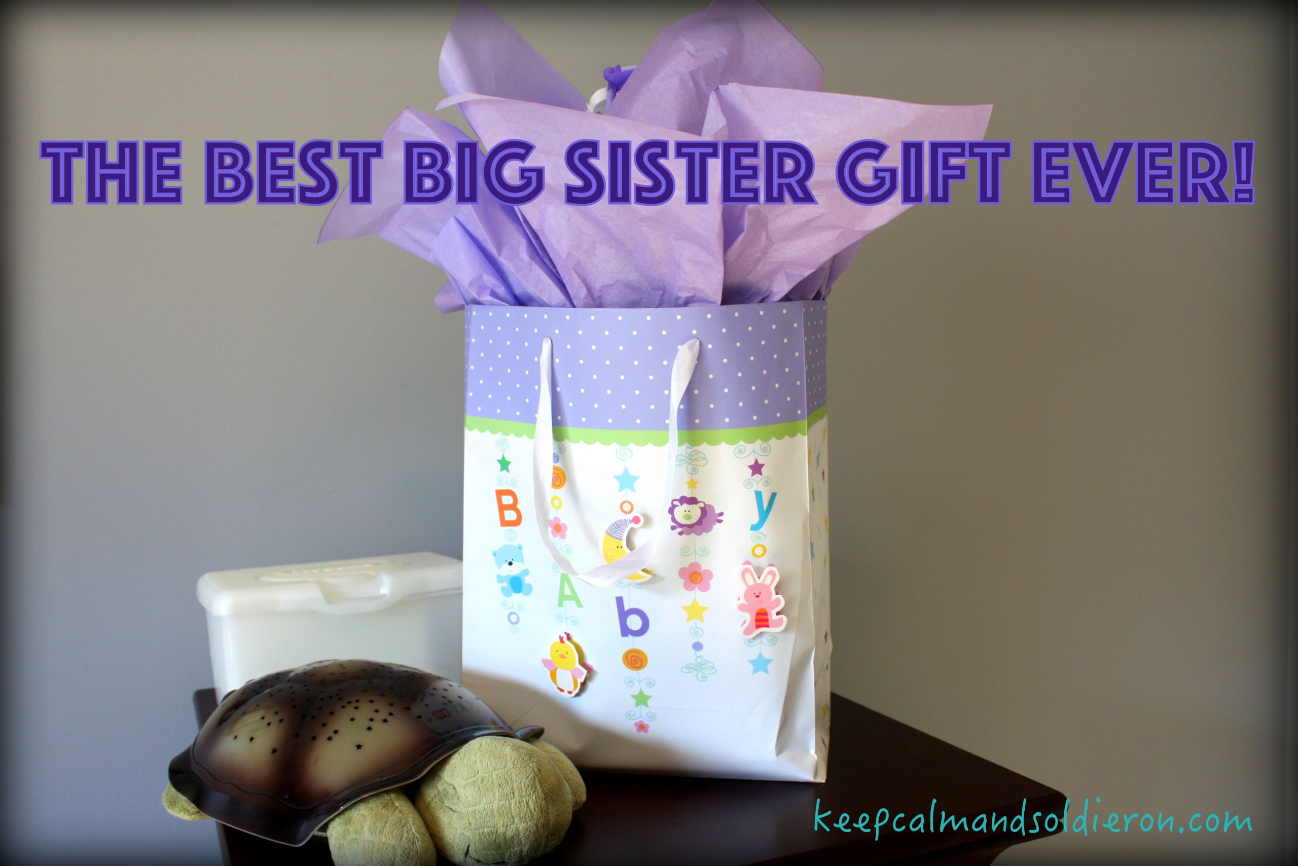 Best Gift Ideas For Sister
 The Best Big Sister Gift Ever