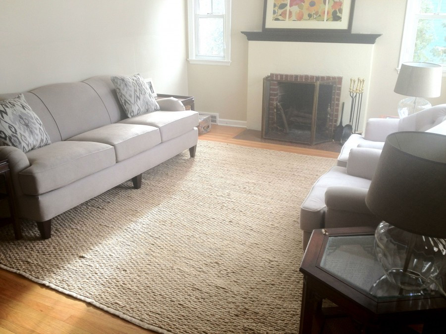Best Living Room Rugs
 couch in livingroom