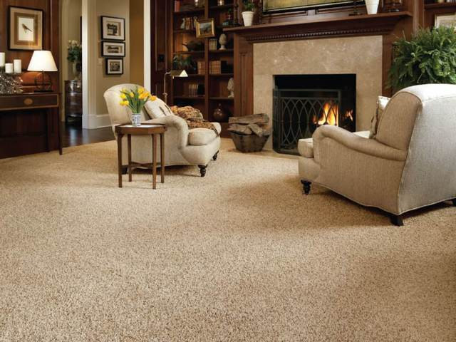 Best Living Room Rugs
 Carpet Selections