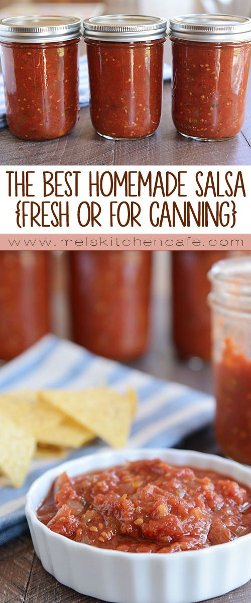 Best Salsa Recipe For Canning
 The Best Homemade Salsa Recipe chip dips