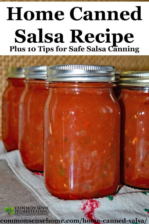 Best Salsa Recipe For Canning
 Home Canned Salsa Recipe Plus 10 Tips for Safe Salsa Canning