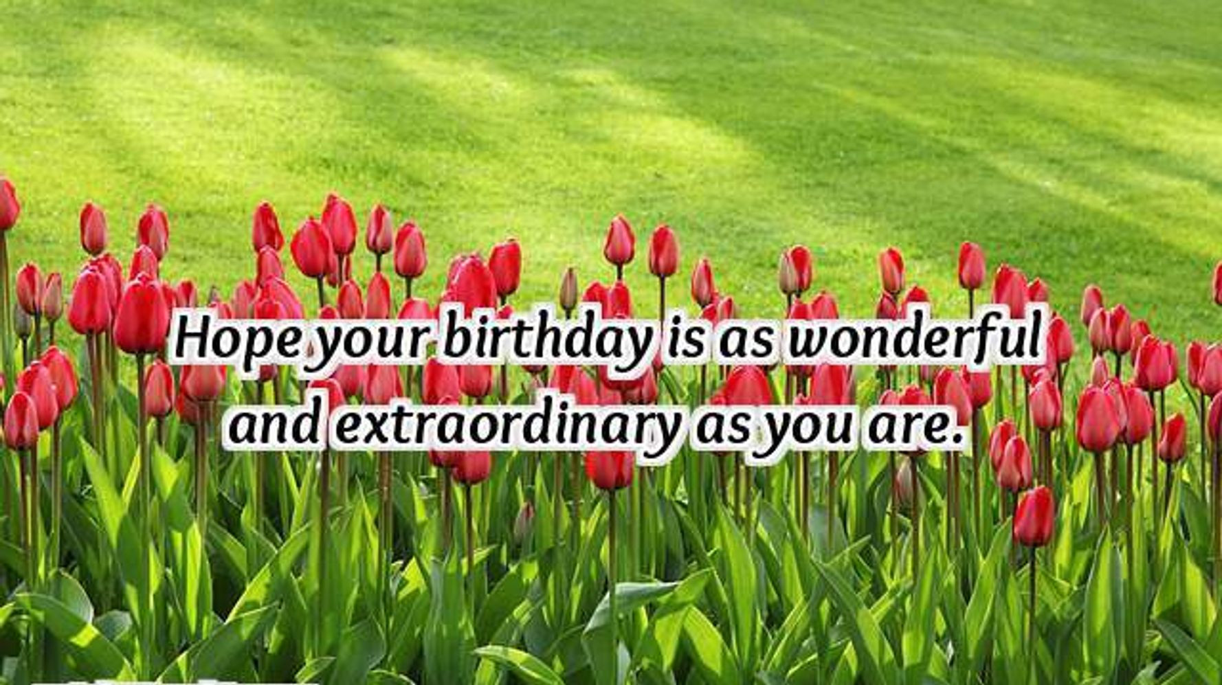 Best Wishes For Your Birthday
 23 Birthday Wishes for Friends & Best Friend Happy