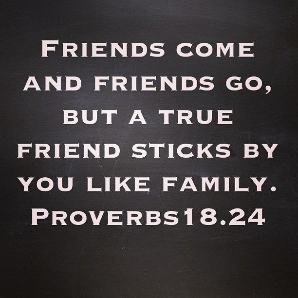 Bible Friendship Quotes
 Bible Quotes About True Friendship QuotesGram
