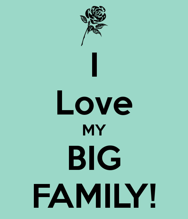 Big Family Quotes
 My Big Family Quotes QuotesGram