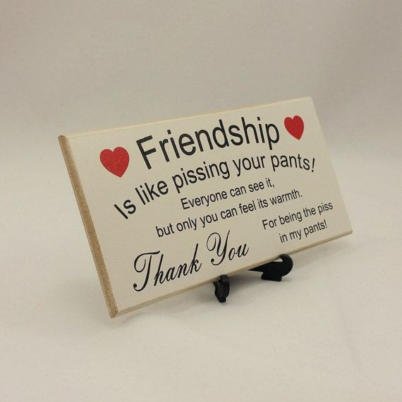 Birthday Gifts For Guy Friends
 Best Friend Gift Funny Sign Birthday Present by