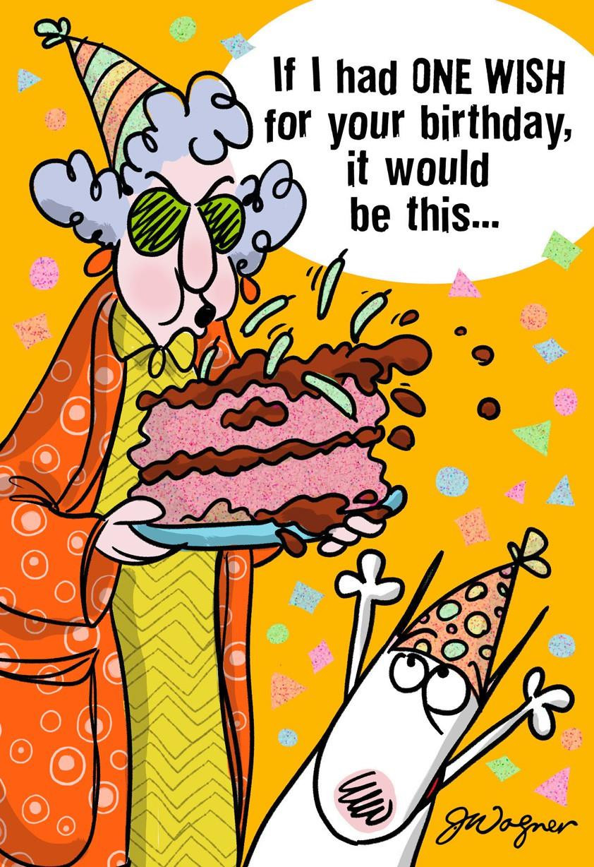 Birthday Greetings Funny
 e Wish Funny Birthday Card Greeting Cards Hallmark