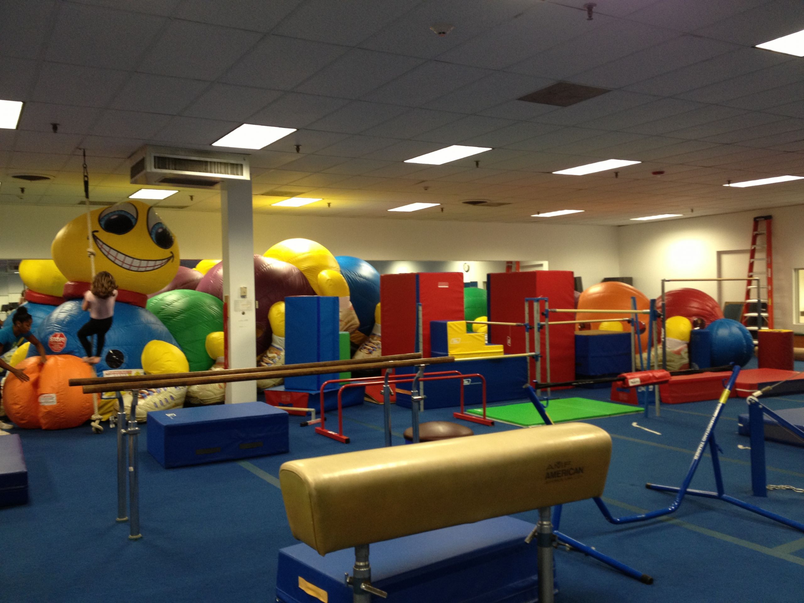 Birthday Party Venues For Kids In Mn
 Kids Birthday Party Places in MA Energy Fitness