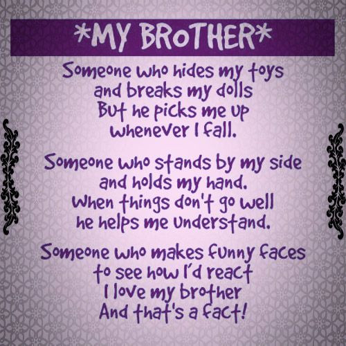 Birthday Quotes For Younger Brother
 Funny Birthday Quotes For Little Brother QuotesGram