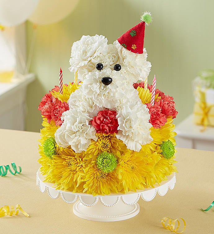 Birthday Wishes Flowers
 Birthday Wishes Flower Cake™ Pupcake™