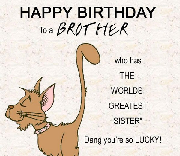 Birthday Wishes For Brother Funny
 200 Best Birthday Wishes For Brother 2020 My Happy