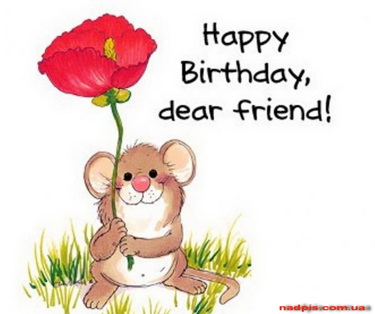 Birthday Wishes Friend
 Cool Birthday Quotes For Friends QuotesGram