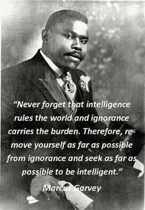 Black Educational Quotes
 The Freedom of Intelligence Trounces The Burdens