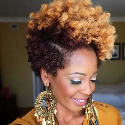 Black Girl Natural Curly Hairstyles
 15 Black Girls with Short Hair