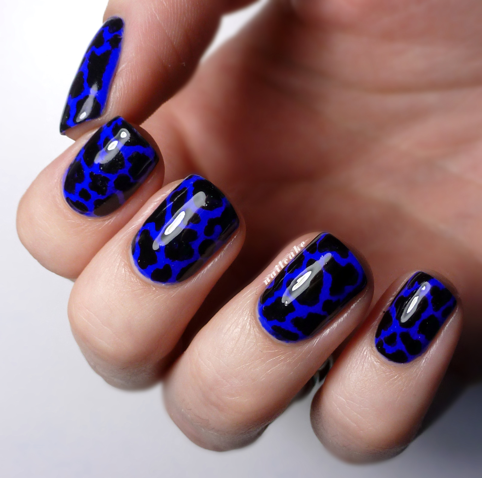 Blue Nail Ideas
 Nail Cake Blue & Black Splodges Cow Print