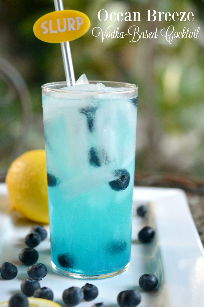 Blueberry Vodka Drinks
 Ocean Breeze A Simple Vodka Cocktail Recipe