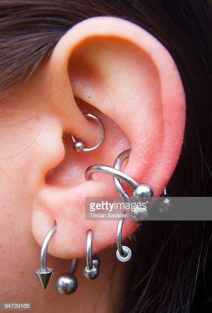 Body Jewelry Ears
 Body Piercings Stock s and