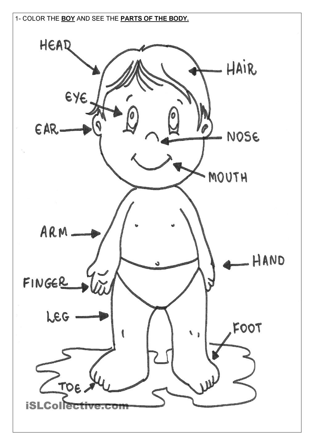 Body Parts Coloring Pages For Toddlers
 Body Parts Coloring Pages For Kids Coloring Home